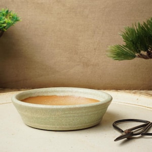May include: A light green ceramic bonsai pot with a shallow, rounded shape. The pot is sitting on a white surface with a pair of black bonsai shears.