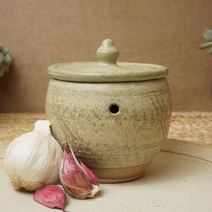 May include: A ceramic garlic keeper with a lid, featuring a light green glaze with a speckled pattern. The keeper has a small hole in the lid for ventilation. The keeper is sitting on a light brown surface with a few cloves of garlic beside it.