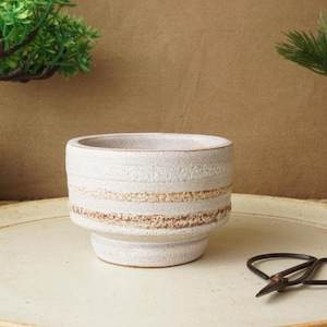 May include: A small, off-white ceramic planter with horizontal brown bands. The textured pot sits on a cream-colored plate, with a pair of black scissors nearby. Decorative plants are in the background.