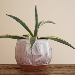 Plantenpot. Handgemaakt wiel gegooid studio aardewerk. x31 afbeelding 1