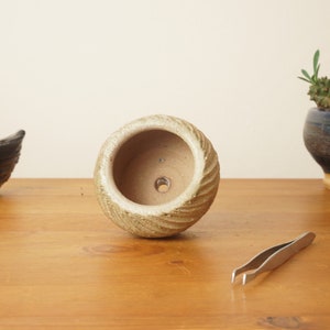 Bonsai pot. Cream Mame bonsai pot. Handmade wheel thrown studio pottery. G1751 StevaCeramics image 4