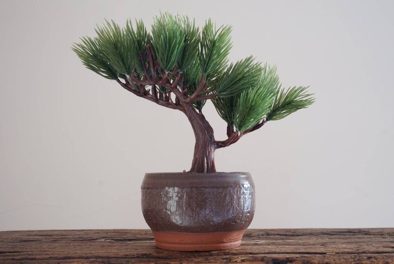 Bonsai pot. Handmade wheel thrown studio pottery. G605Y image 1