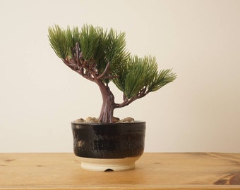 Bonsai pot. Black Mame bonsai pot. Handmade studio pottery.