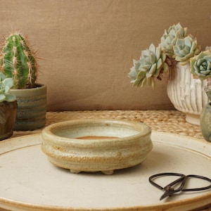 May include: A low, round, beige ceramic bonsai pot with a textured rim and small feet, resting on a large, flat, circular ceramic tray. A pair of small black metal pruning shears lies on the tray next to the pot, surrounded by various potted succulents.