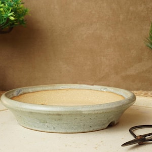 Peut inclure: Une soucoupe en céramique vert clair avec un bord légèrement surélevé et un glaçage moucheté. La soucoupe est vide et repose sur une surface blanche.