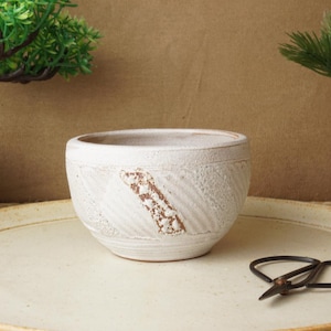 May include: A white ceramic bowl with a textured surface and a diagonal brown accent. The bowl sits on a cream-colored plate, with a pair of black scissors nearby. Decorative plants are in the background.