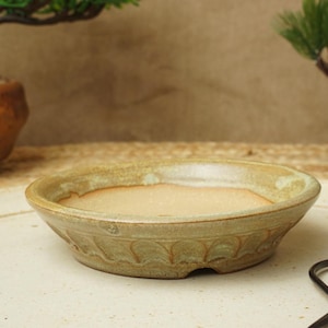 Könnte beinhalten: Kleiner, runder Bonsai-Topf aus Keramik mit hellgrüner und beigefarbener Glasur. Der Topf hat ein flaches Design mit einem dekorativen Muster am Rand. Der Topf steht auf einer hellen Oberfläche.