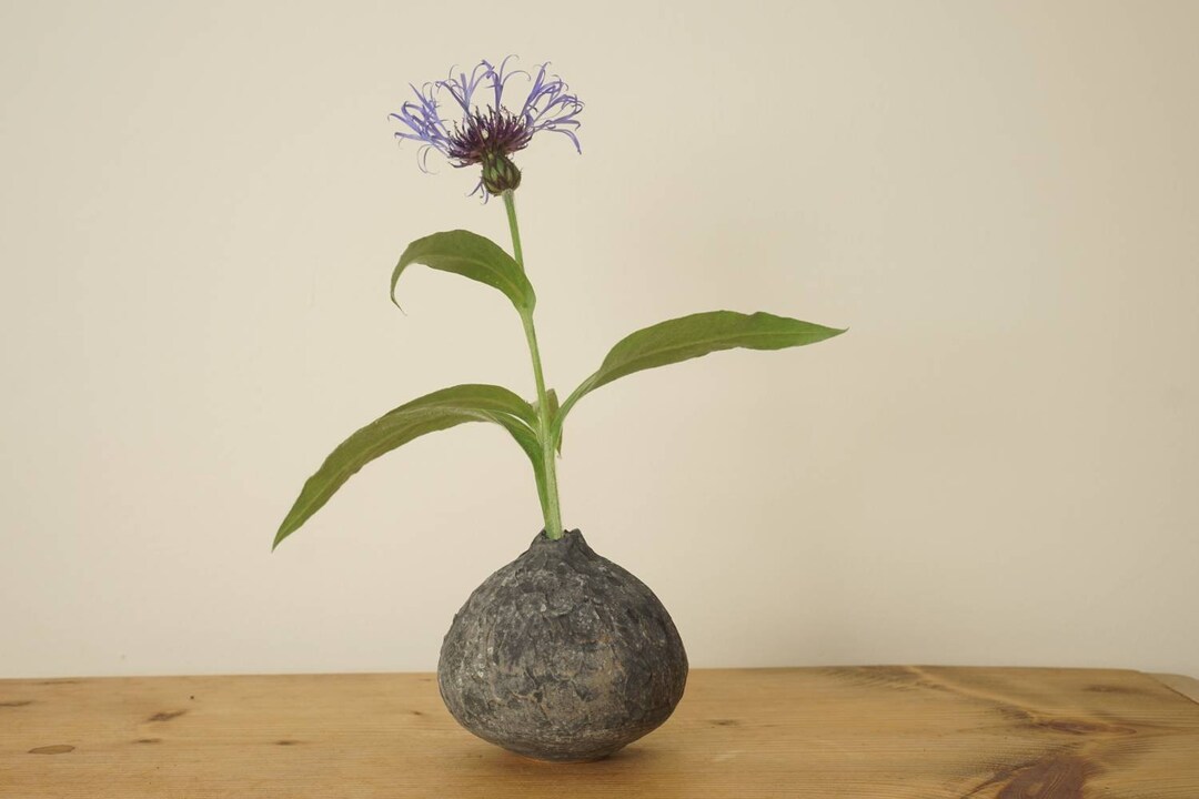 Vase. Matt Grey Textured Ikebana / Bud Vase. Handmade Wheel Etsy