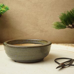 May include: A small, round, grey ceramic bonsai pot with a light brown interior sits on a white plate. A pair of black scissors rests nearby. Green plants and a brown background complete the scene.