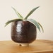 see more listings in the House Plant Pots  section