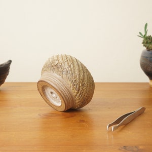 Bonsai pot. Cream Mame bonsai pot. Handmade wheel thrown studio pottery. G1751 StevaCeramics image 3