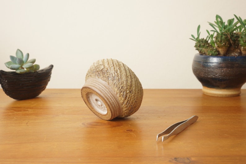Bonsai pot. Cream Mame bonsai pot. Handmade wheel thrown studio pottery. G1751 StevaCeramics image 3