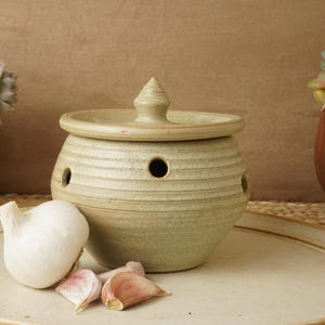 May include: A ceramic garlic keeper with a lid, featuring a light green color and horizontal ridges. The keeper has three round holes and is accompanied by a whole garlic bulb and cloves on a matching plate. Decorative succulents are in the background.