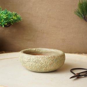Può includere: Una piccola ciotola in ceramica verde chiaro e strutturata è appoggiata su un grande piatto bianco sporco. Un paio di forbici nere poggia sul piatto. Lo sfondo presenta due piccoli bonsai in vaso e uno sfondo marrone.