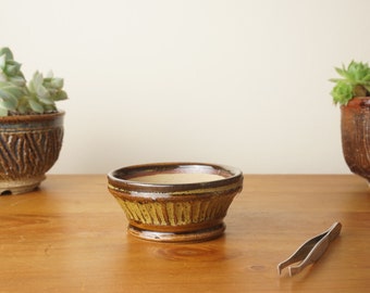 Bonsai pot. Brown gold Mame bonsai pot. Handmade wheel thrown studio pottery. G1685 StevaCeramics