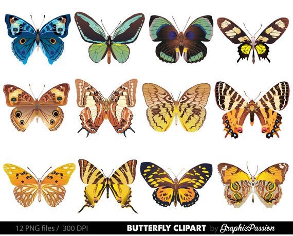 Butterfly Clipart Butterfly Digital Collage Sheet Realistic Etsy