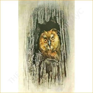 May include: A detailed painting of an owl peering out from a tree hollow. The owl has large, yellow eyes and brown and tan feathers. The tree trunk is textured with shades of gray and brown, creating a naturalistic scene.