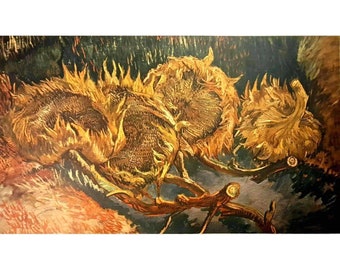 Vincent Van Gogh Four Withered Sunflowers 1887 Vintage Collotype