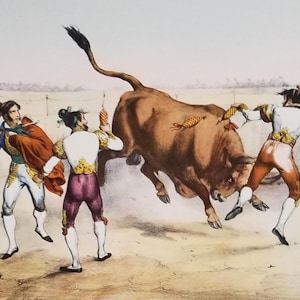 May include: An antique print depicts a bullfight scene. Three matadors in traditional attire confront a charging brown bull in a bullring. The matadors wear white shirts, colorful jackets, and purple or orange pants. The bull has decorative darts in its back.