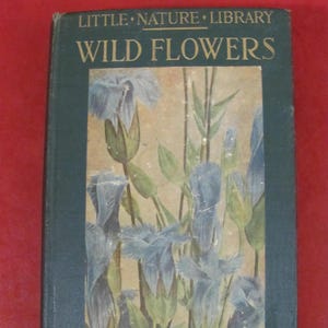Flores silvestres que vale la pena conocer de Neltje Blanchan Publicado en 1922 por Doubleday Page & Co 16 ilustraciones a todo color Libro de flores antiguo
