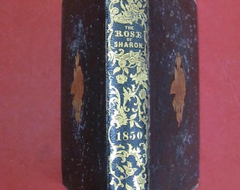 La Rosa de Sarón: Un recuerdo religioso 1849 Editado por la Sra. C. M. Sawyer Publicado por Tompkins & Mussey Boston