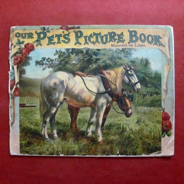 Our Pet's Picture Book Published in 1905 by McLoughlin Brothers NY Mounted on Linen Chromolithographs Antique Children's Book