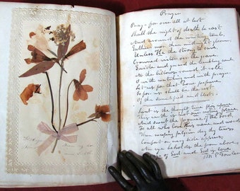 1844 Scriptural Album with Floral Illustrations Belonging to Mary C Fowler Franklin NY Friendship Sentiments Hair Tokens Herbarium