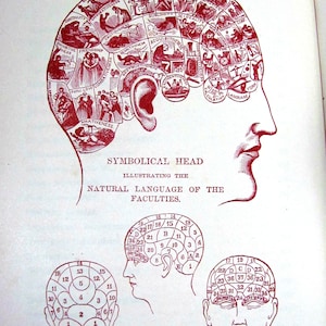 Dr Chase's Receipt Book & Household Physician Memorial Edition by A W Chase's M D Published  1896 by F B Dickerson Co Burgundy Illustrations