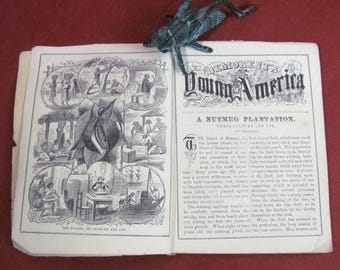 Demorest's Young America Boys & Girls Magazine Maggio 1866 Vol. 2 N. 2 Pubblicato da W. Jennings Company NY