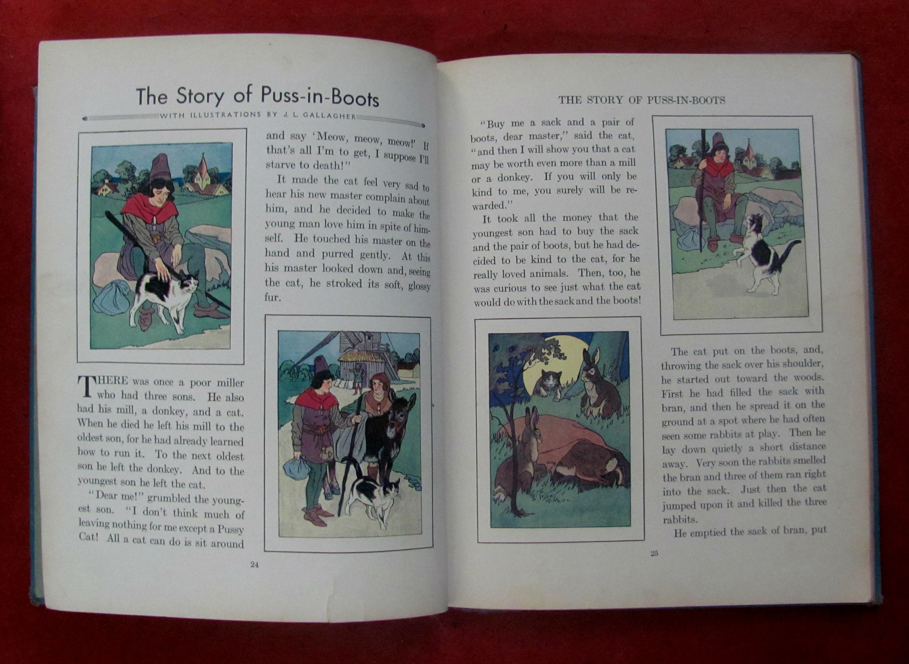 fairyland memoir fairyland memoir