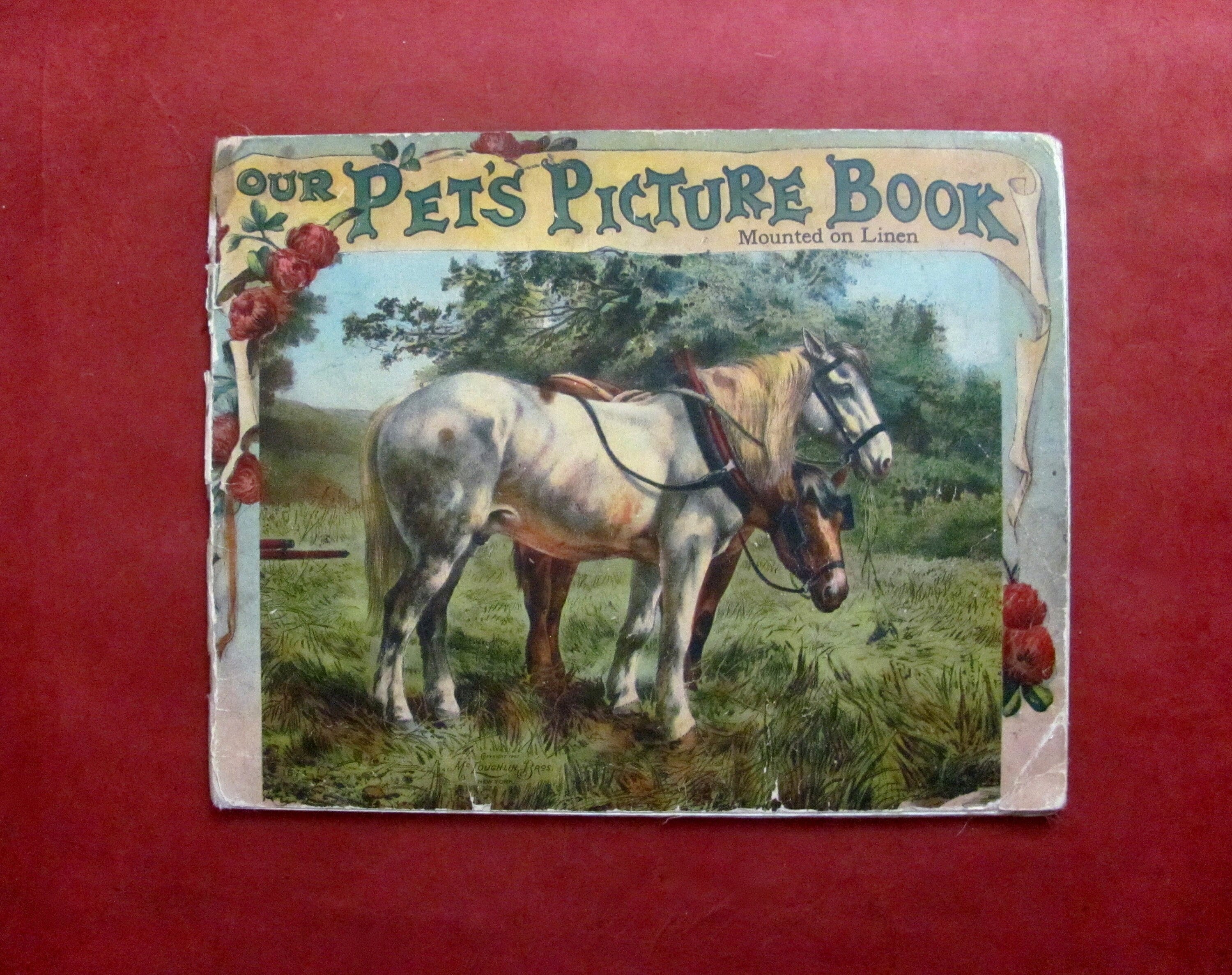 Unser Haustier Bilderbuch 1905 von McLoughlin Brothers NY Aufgezogen auf Leinen Chromolithographs Antique Kinderbuch