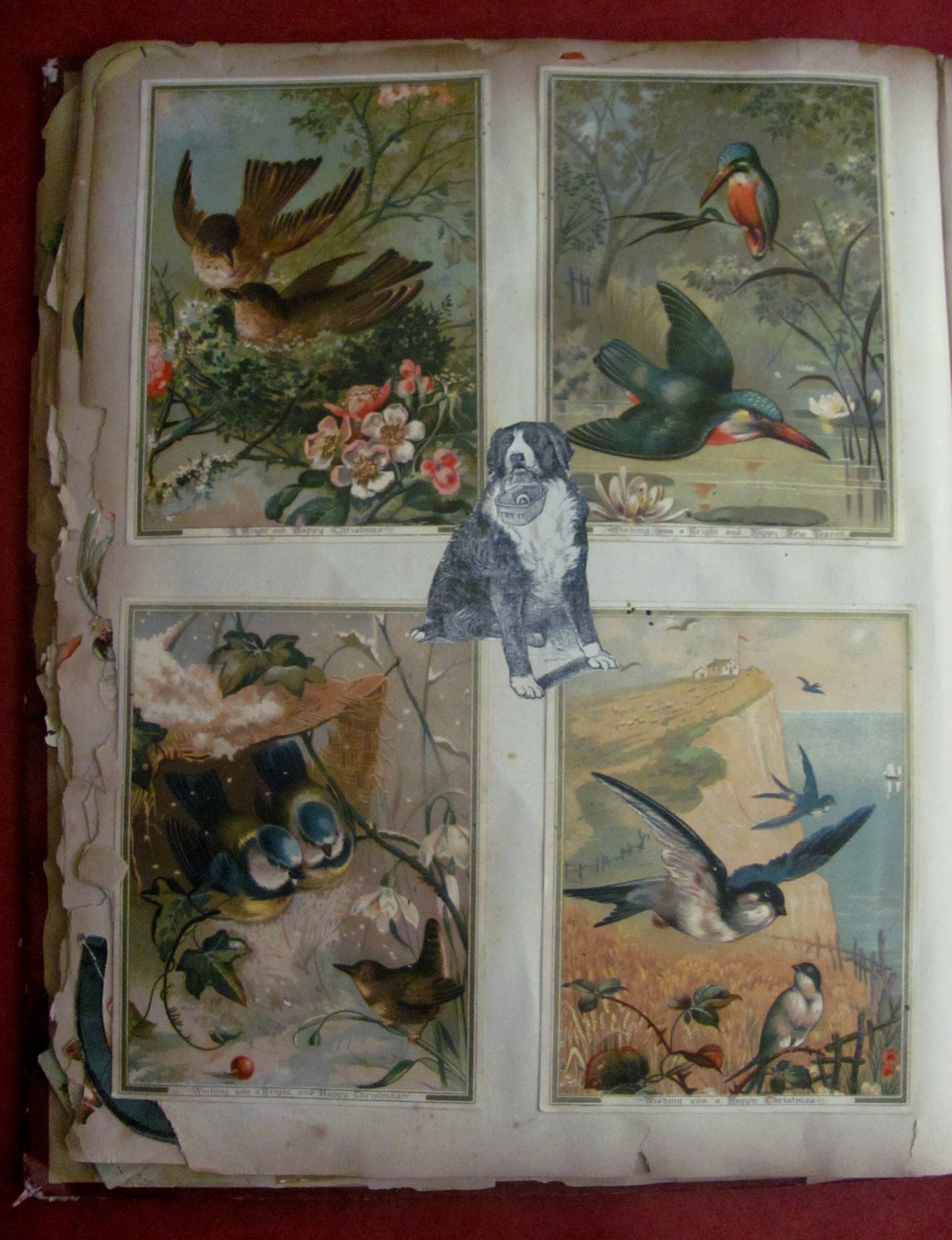 Victorian Scrapbook Album 300 Beautiful Diecuts Trade Etsy