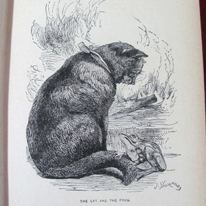 The Animal Story-Book Illustrating Animal Sagacity by W H Kingston Published by DeWolfe Fiske & Co Illustrated by Harrison Weir and Others