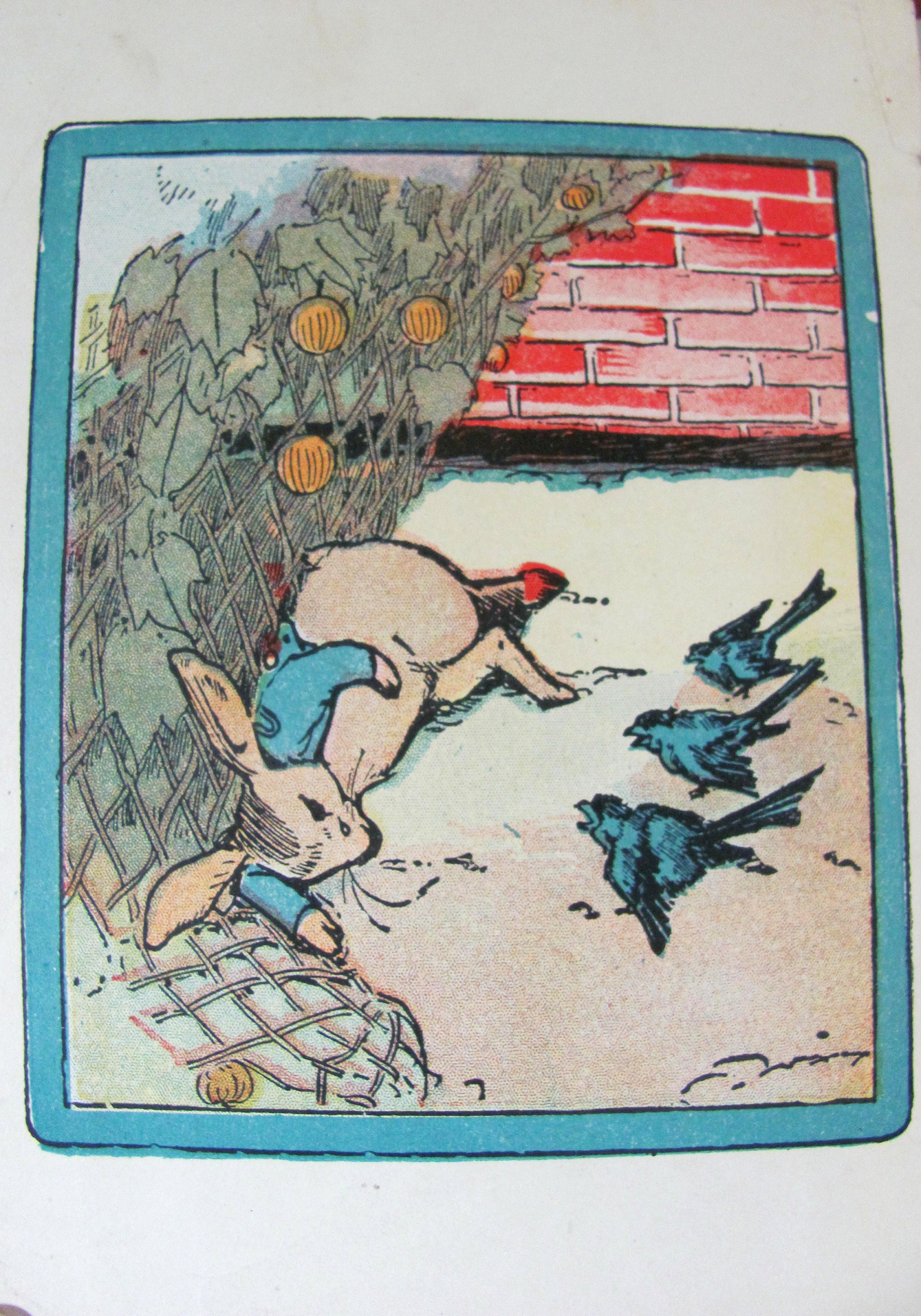 The Story of Peter Rabbit Published in 1908 by Reilly & Britton ...