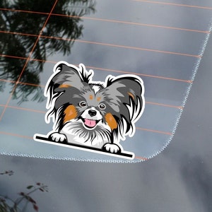 Peeking Papillon Car Decal Sticker / Papillon In Realistic Style Dog Paws Up Bumper Window Vinyl  /  Waterproof Removable Outdoor