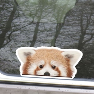 Peeking Red Panda Car Decal / Kawaii Cute  Little Spy Panda Car Sticker  / Vinyl Waterproof Bumper Window Bottle / Outdoor + Indoor
