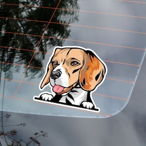 Peeking Beagle Car Sticker Decal / Kawaii Beagle Dog Paws Up Waterproof Vinyl Window Bumper Laptop / Realistic Outdoor  Removable
