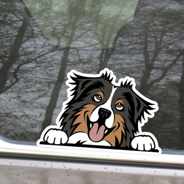 Black Tri Australian Shepherd Car Sticker Decal / Cartoon Peeking Aussie Head / Vinyl Waterproof Removable Outdoor / Window Bumper Laptop