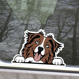 Red White Australian Shepherd Car Sticker Decal / Cartoon Peeking Aussie Head / Vinyl Waterproof Removable Outdoor / Window Bumper Laptop