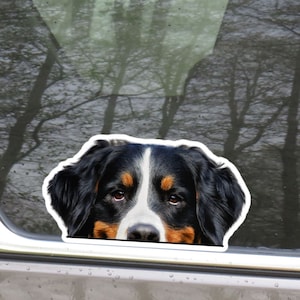 Bernese Mountain Car Decal / Peeking Black Tri-Color Bernese Mountain Head / Vinyl Waterproof Removable Outdoor / Bumper Window Camper