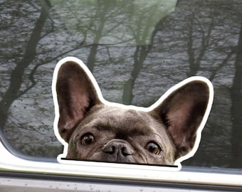 Brindle French Bulldog Car Decal - Peeking Frenchie Dog Waterproof Sticker