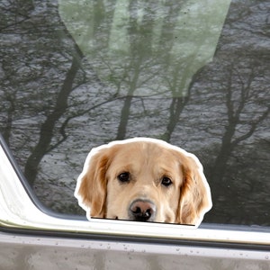 Classic Golden Retriever Car Decal Sticker / Peeking Realistic Puppy Dog Head / Bumper Window Laptop / Vinyl Waterproof Removable Outdoor
