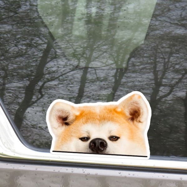 Peeking Red Akita Inu Car Sticker Decal / Realistic Face Akita Inu Dog Waterproof Vinyl Window Bumper Laptop  / Removable Outdoor Car Decal