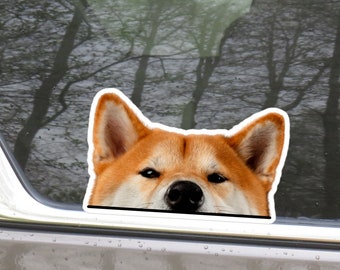 Peeking Red Shiba Inu Car Decal Sticker / Realistic Shiba Inu Dog Vinyl Removable Waterproof Outdoor / Car Bumper Window Laptop