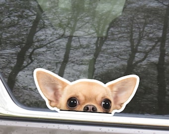 Peeking Chihuahua Car Decal Sticker / Realistic Cream Chihuahua Head Dog Vinyl Waterptroof Outdoor Removable / Bumper Window Laptop Bottle