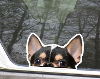 Black & Tan Chihuahua Car Decal -  Peeking Dog Head Waterproof Sticker