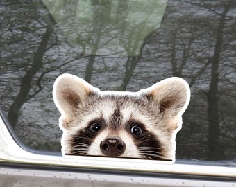 Peeking Raccoon Car Sticker Decal / Funny Raccoon Head Face Animal Waterproof Removable Vinyl / Bumper Window Laptop Bottle Outdoor