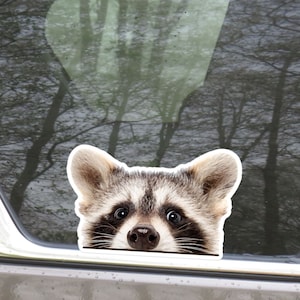Peeking Raccoon Car Sticker Decal / Funny Raccoon Head Face Animal Waterproof Removable Vinyl / Bumper Window Laptop Bottle Outdoor