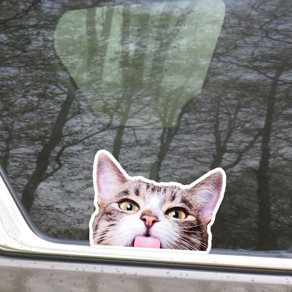 Peeking Cat Car Sticker Decal / Cat Looking Out Of Car Window / Waterproof Vinyl Bumper Laptop / Gift For Cat Lovers  /  Outdoor + Indoor