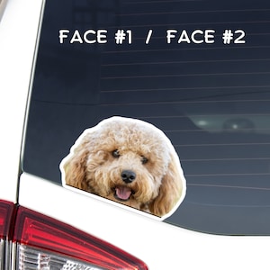 Cream Cavapoo Car Decal Sticker / Peeking Photo Cavapoo Dog Head / Vinyl Waterptroof Removable Outdoor / Bumper Window Laptop Phone Botle